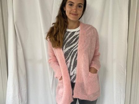 MA Lepositano cardi in blossom Sale