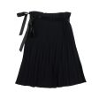 Burberry Pleated Skirt - Women s 4 Sale