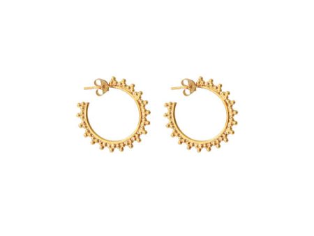 I AM JAI 1650A Small hoop ball earring in gold For Cheap