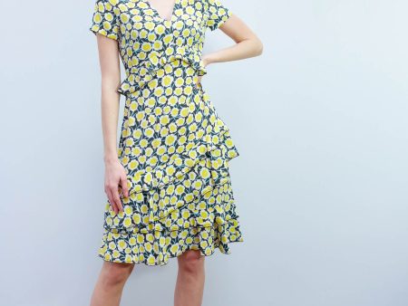 DVF Glenys dress in daisies canteen For Cheap